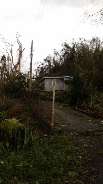 20170921_081356 (1).jpg